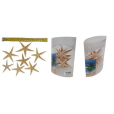 ESTRELLA DE MAR BLISTER oval1 5x10 (110262)                    