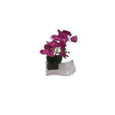 ORQUIDEA LILA c/ MACETA ONDA 17 x9x28 Cm                       