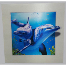 LAMINA 5 D DELFIN 40 x 40 cm                                   