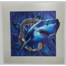 LAMINA 5D TIBURON 40x40 cm                                     